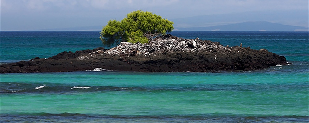 View at Bachas Beach, Santa Cruz Island